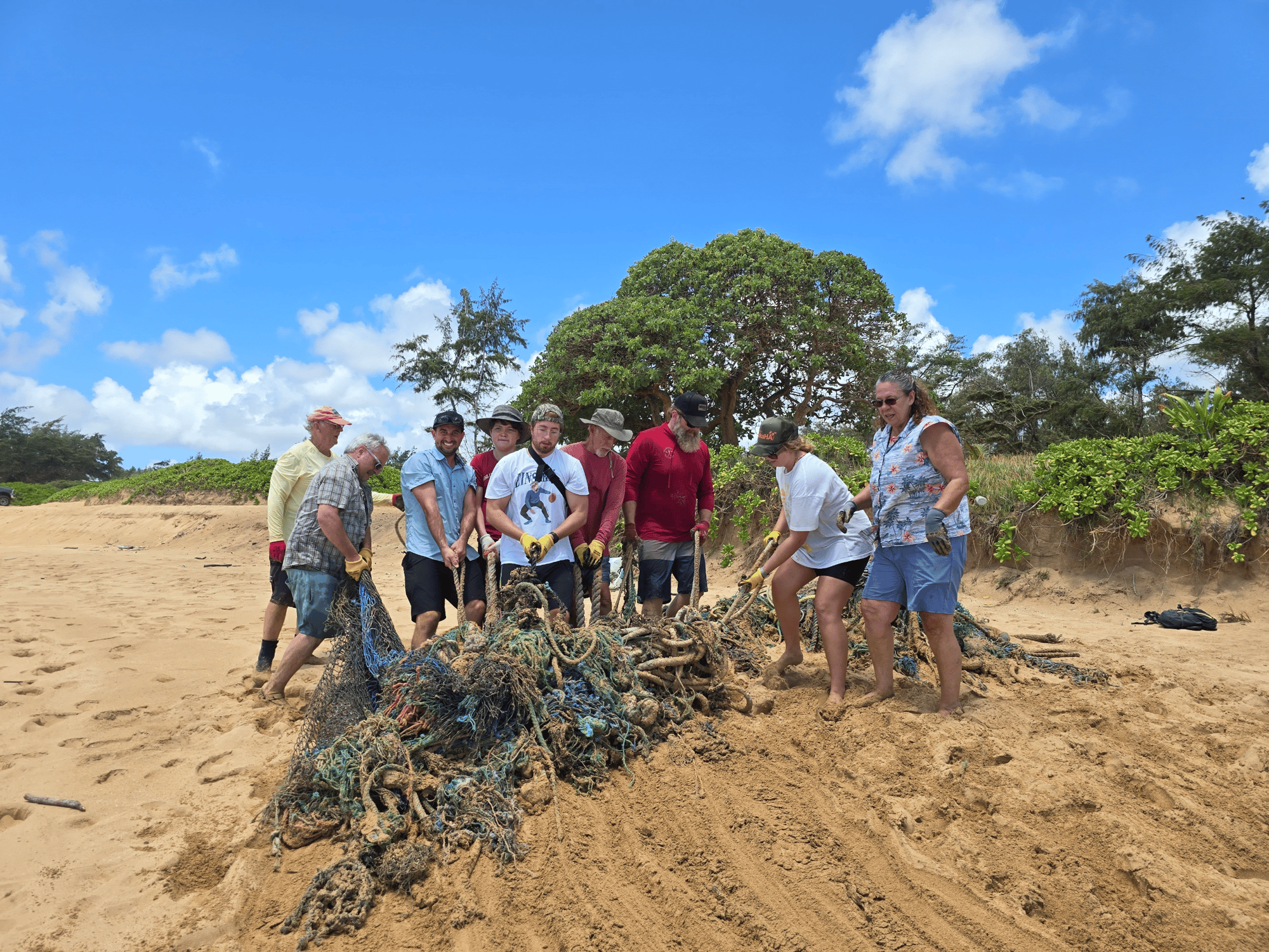 Net Patrol June 20252