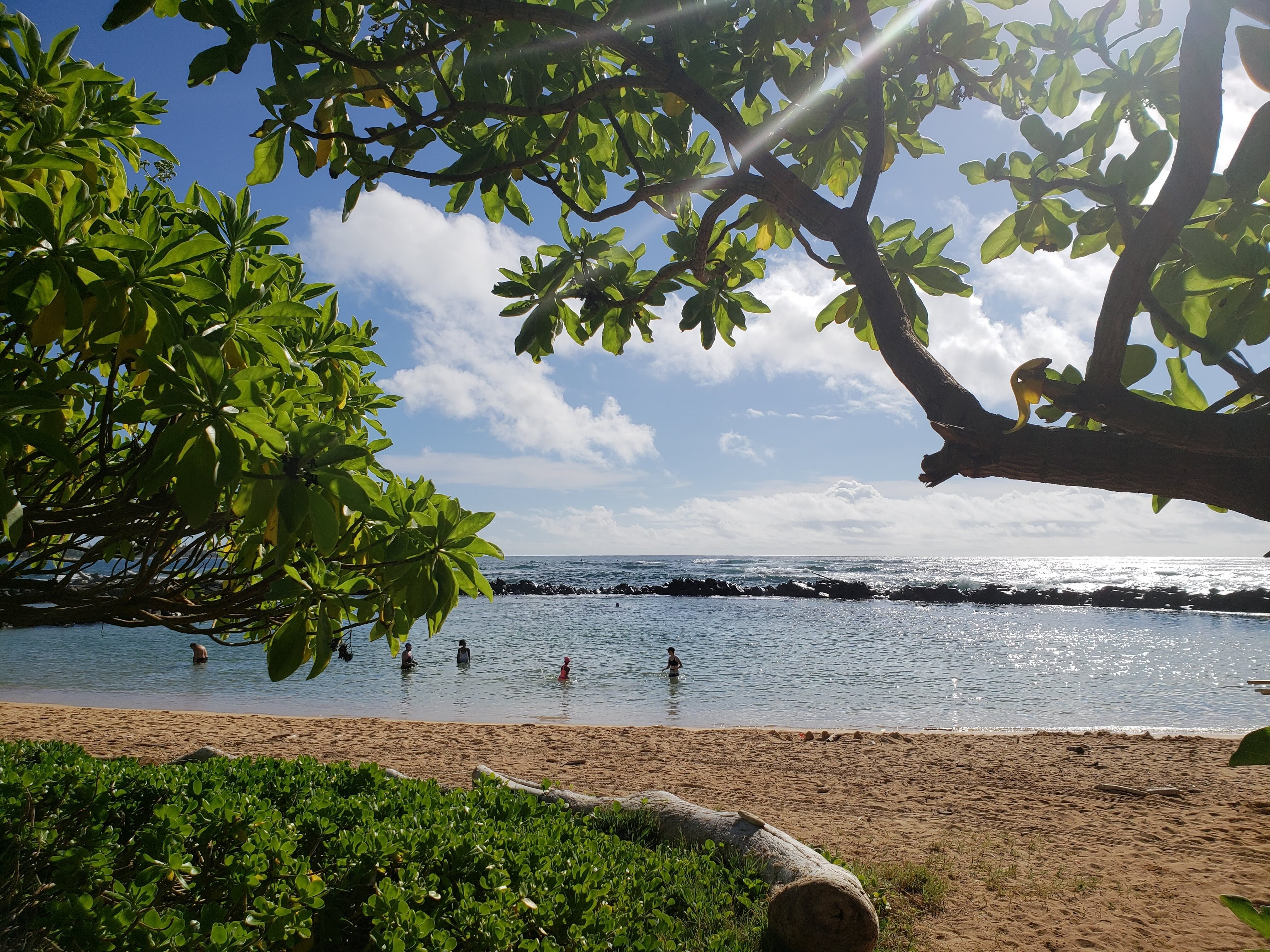sLydgateBeach_shutterstock