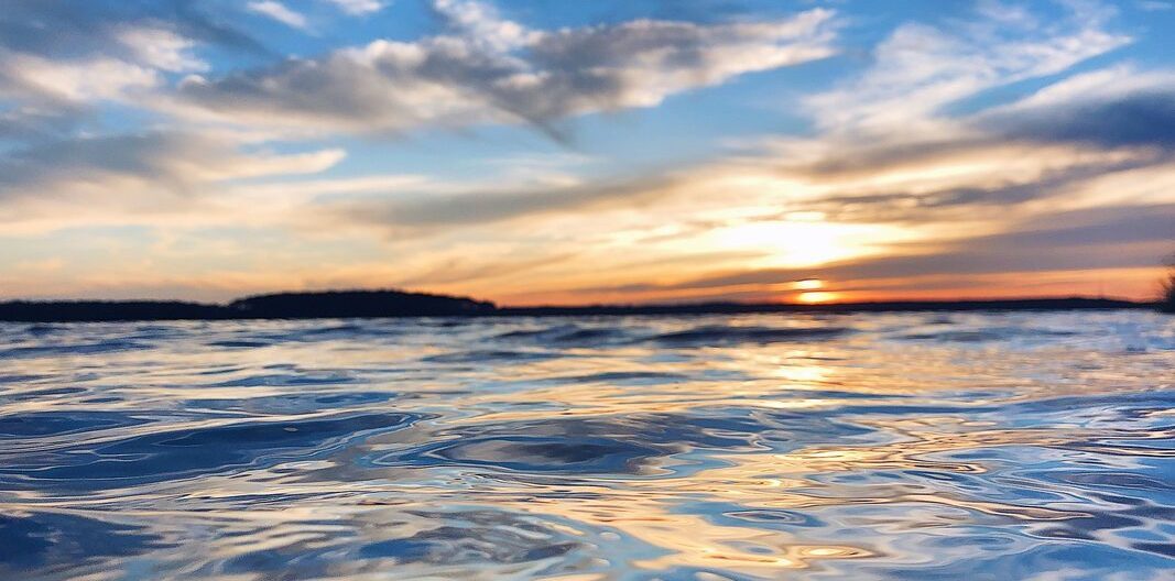 Protect Virginia's Coast from Harmful Seabed Mining